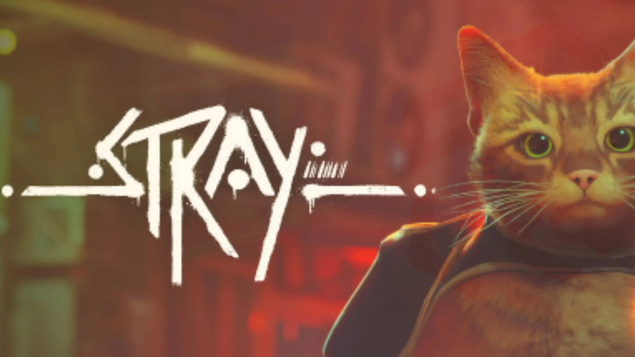 Stray teaser from Steam